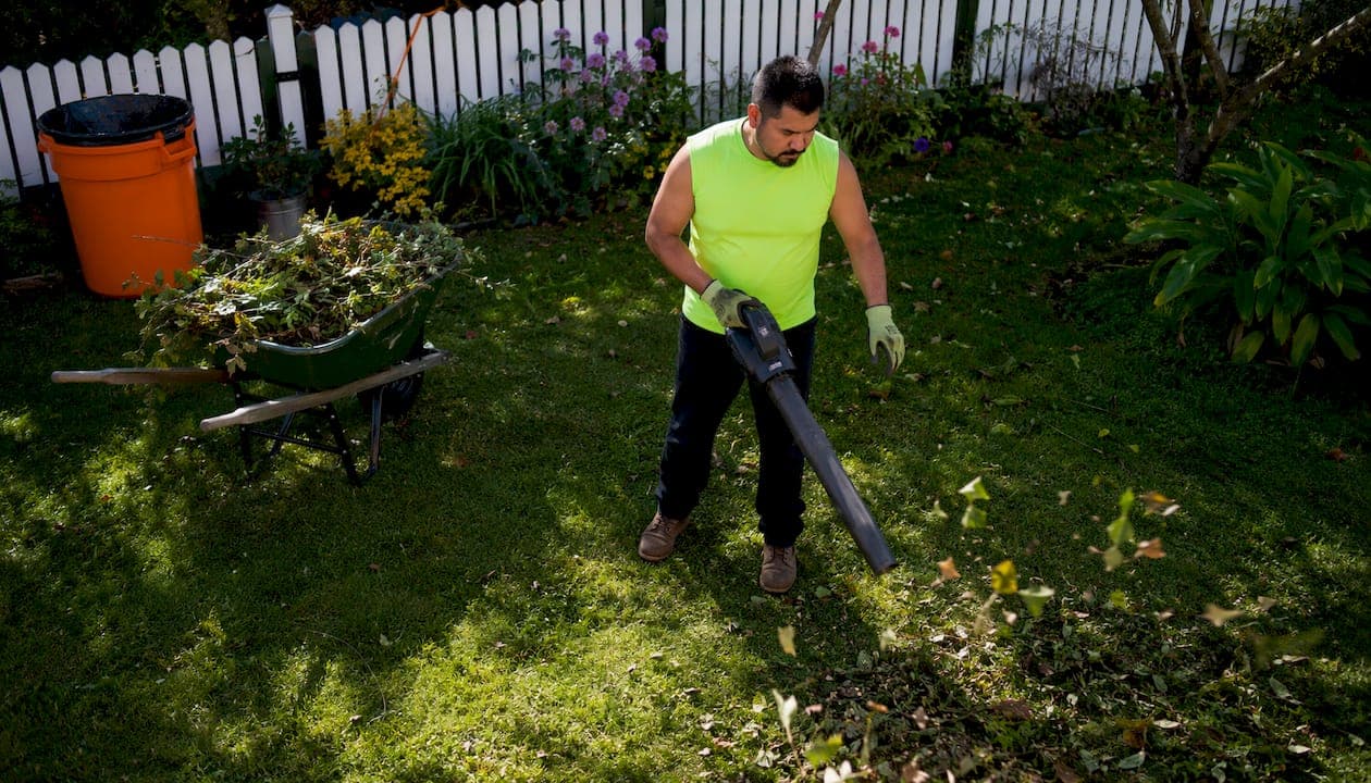 Storm Debris Removal: What to Do Right Now