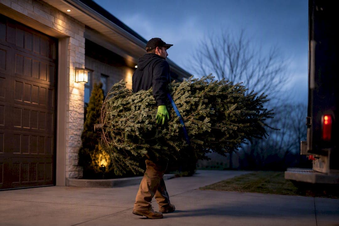 Use Free City Pickup First: Christmas Tree Disposal for Homeowners